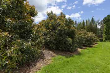 501 Paparore Road, Pukenui