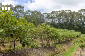 501 Paparore Road, Pukenui