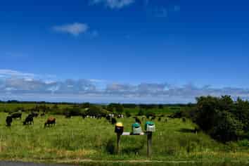 366 Oparara Loop Road, Karamea
