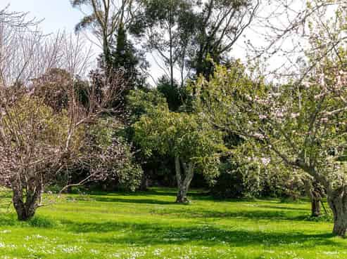 484C  Wright Road, Aongatete