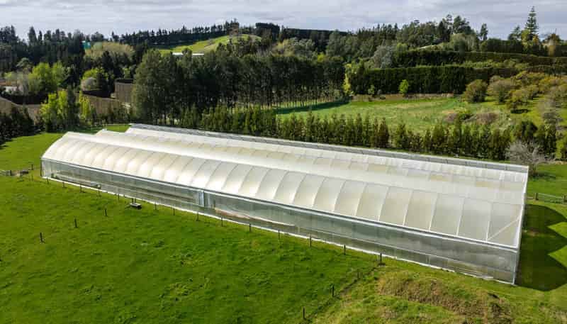484C  Wright Road, Aongatete