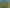 71 - 79 Mairangi Road Sections, Wadestown