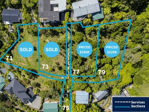 75 - 79 Mairangi Road Sections, Wadestown