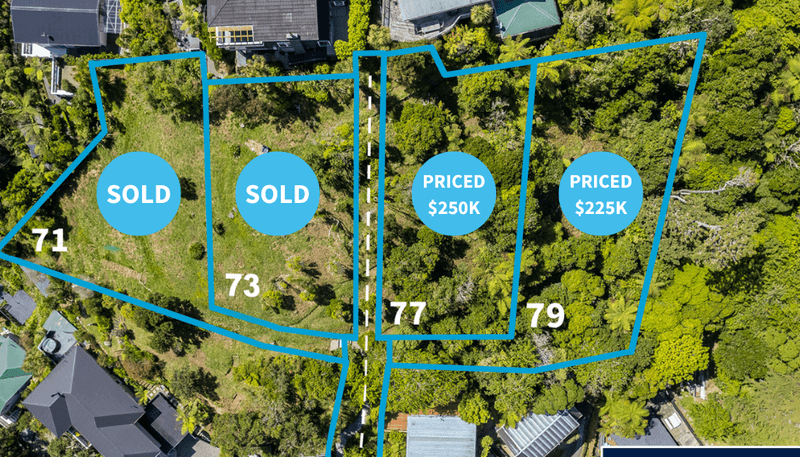 75 - 79 Mairangi Road Sections, Wadestown