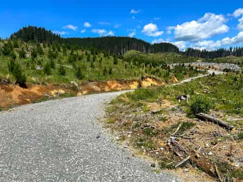   Waingaro Road, Waingaro