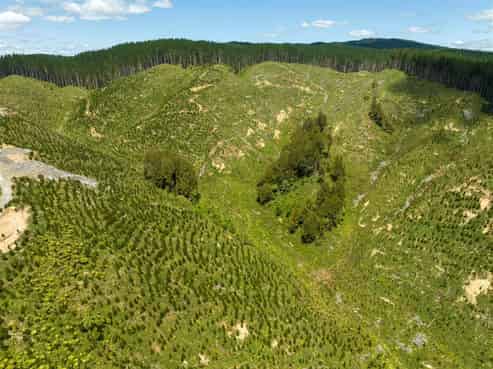   Waingaro Road, Waingaro