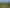 212 Te Tahi Road, Pirongia