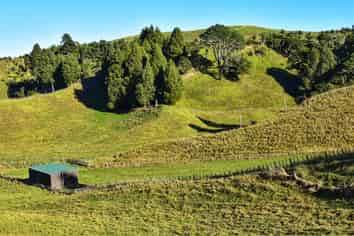 Lot 5/80 Ruatuna Road, Opotiki and Surrounds