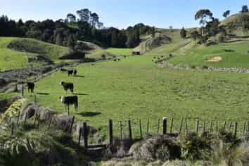 Lot 5/80 Ruatuna Road, Opotiki and Surrounds