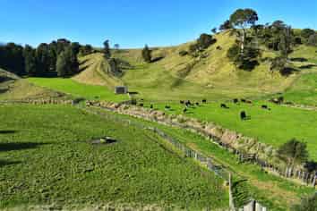 Lot 5/80 Ruatuna Road, Opotiki and Surrounds