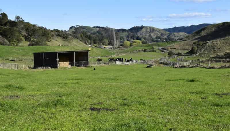 Lot 5/80 Ruatuna Road, Opotiki and Surrounds