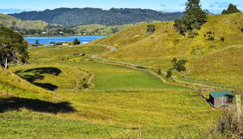 Lot 5/80 Ruatuna Road, Opotiki and Surrounds