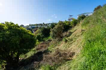 16 Aitken Place, Mornington