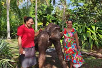 Private Tropical Island Retreat - Savusavu, FIJI