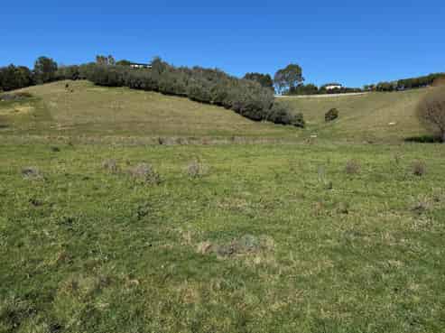 165 Breckenridge Road, Puketapu