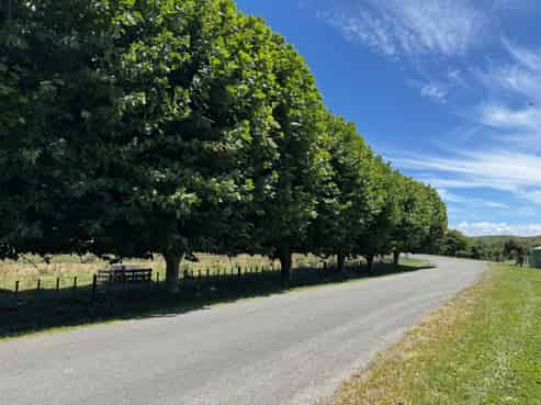 165 Breckenridge Road, Puketapu