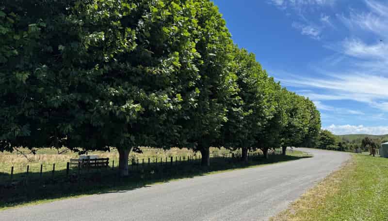 165 Breckenridge Road, Puketapu