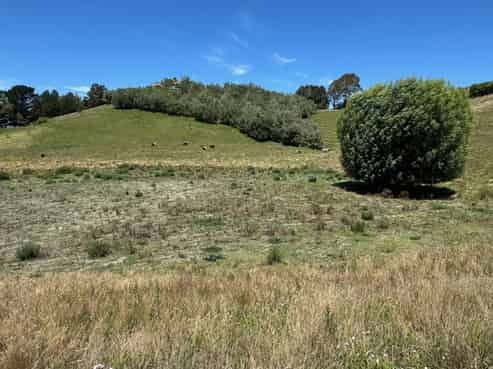 165 Breckenridge Road, Puketapu