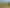 235A Scotland Street, Roxburgh