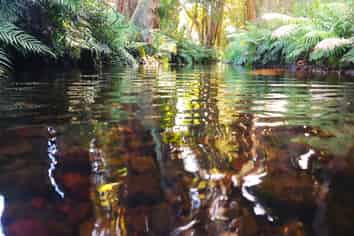  Pungaere Road, Waipapa