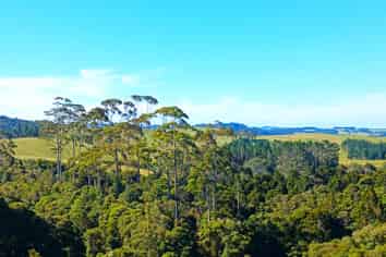  Pungaere Road, Waipapa