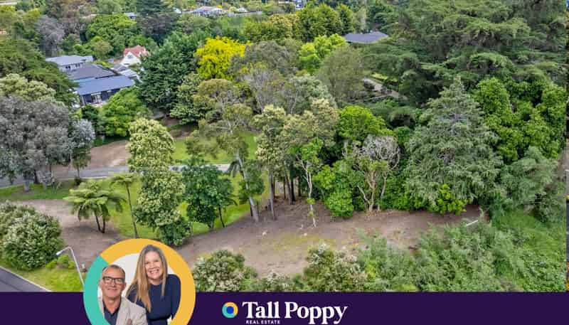 43 Rongomau Lane, Raumati South