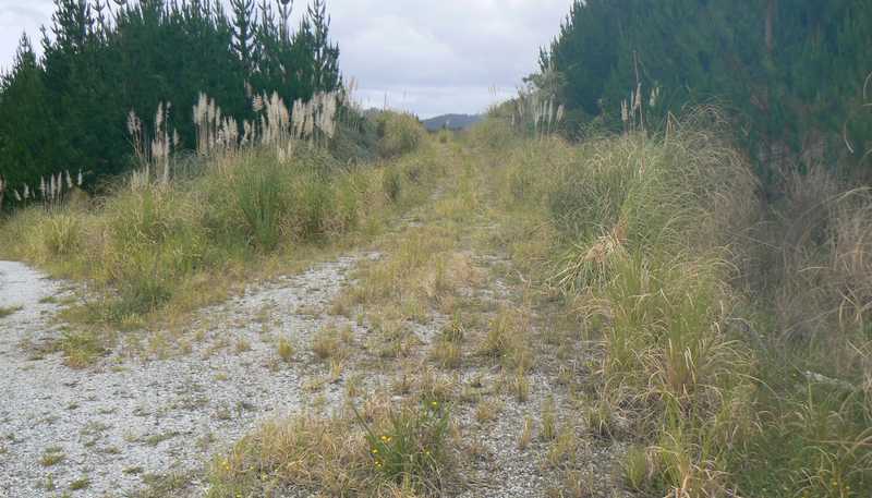 Lot 45 Iwitaua Road, Mangamuka