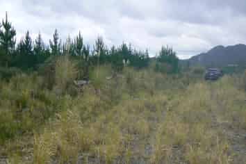 Lot 45 Iwitaua Rd (aka Stoney Creek Rd), Mangamuka