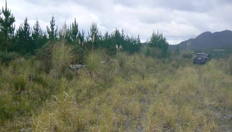 Lot 45 Iwitaua Rd (aka Stoney Creek Rd), Mangamuka