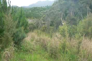 Lot 45 Iwitaua Rd (aka Stoney Creek Rd), Mangamuka