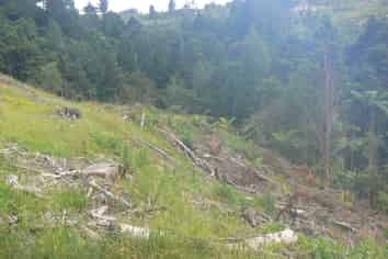 LOT 12 Iwitaua Road, Mangamuka