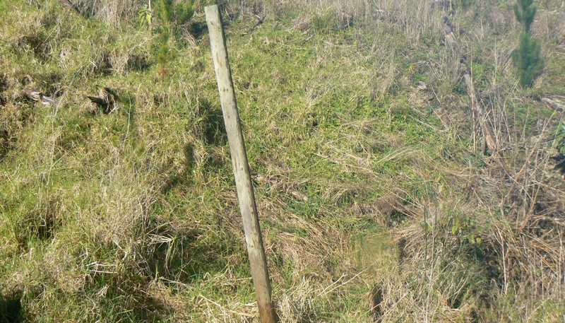 LOT 6 Iwitaua Road, Mangamuka