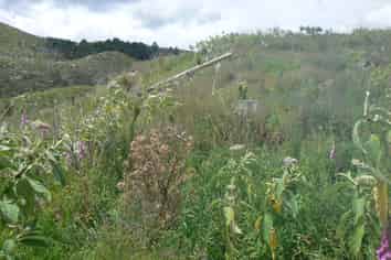 LOT 6 Iwitaua Rd, Mangamuka