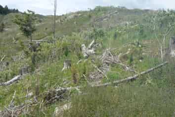LOT 6 Iwitaua Rd, Mangamuka