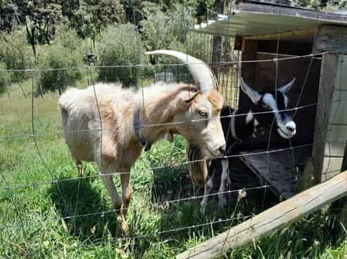 18 Kawhina Lane, Kuaotunu