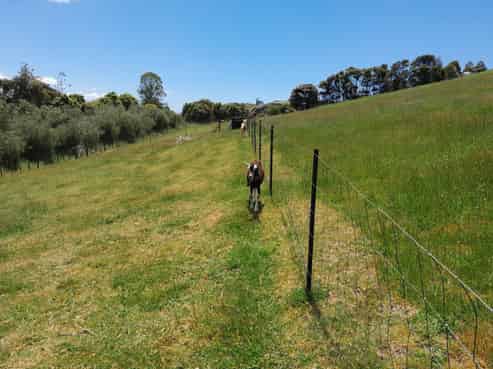 18 Kawhina Lane, Kuaotunu