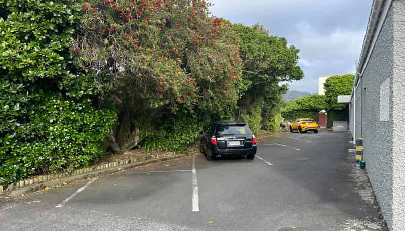 265-279 Jackson Street, Petone