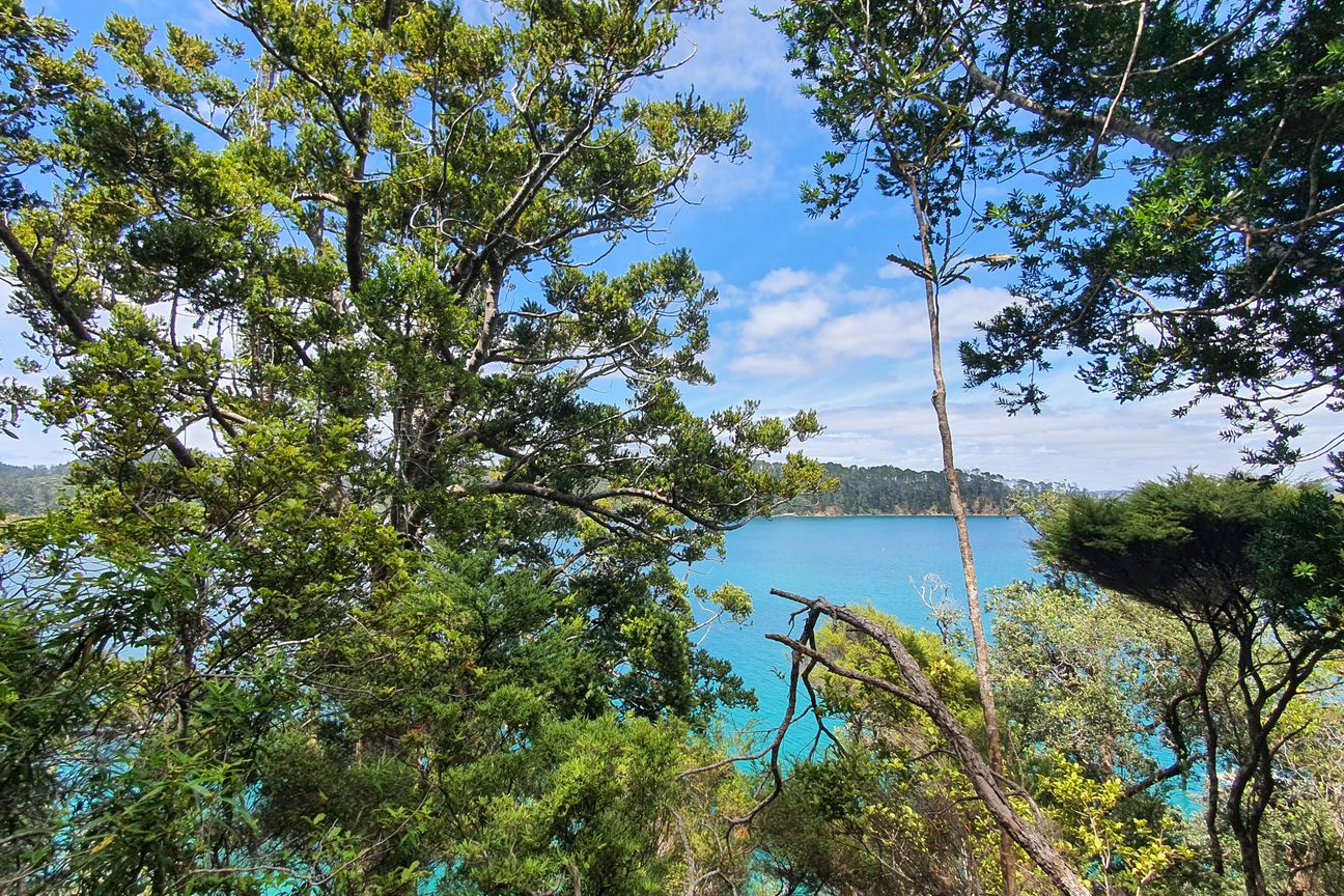 2.71 Hectares on 2 titles + Wharf = BARGAIN @ $695K! - Bild 6