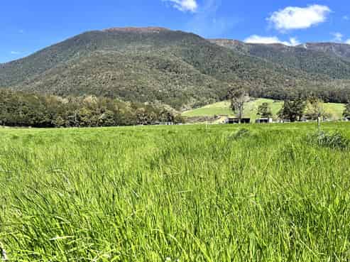  848 Palmer Road, Reefton