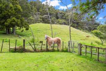 161 Horsman Road, Waitakere