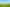 Lot 1/ Foy Road, Pukekohe