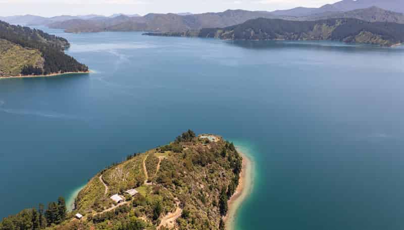  Ahitarakihi Bay, Queen Charlotte Sound