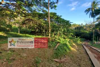 75 ACRES - TAVEUNI -  OVERLOOKING THE OCEAN!