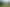 Pacific Islands - Address withheld