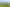 Pacific Islands - Address withheld