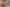 Pacific Islands - Address withheld