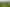 Pacific Islands - Address withheld