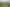 Pacific Islands - Address withheld
