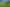 Pacific Islands - Address withheld