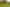 Pacific Islands - Address withheld